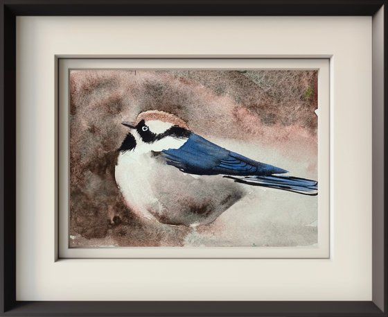 Black-throated bushtitg