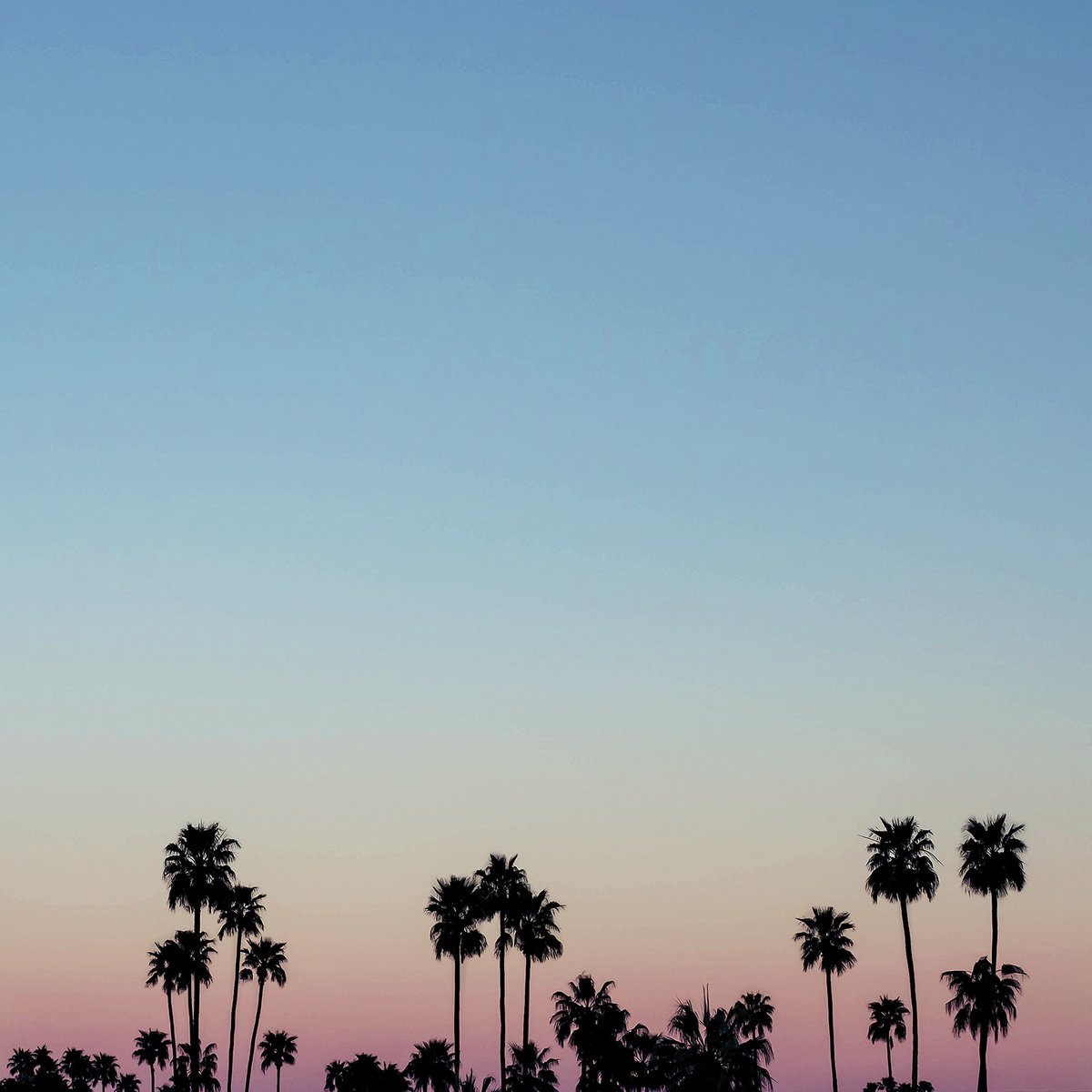 Palm Springs Sunrise by Heike Bohnstengel