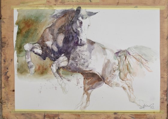 Horse in the run  5 (70x50)