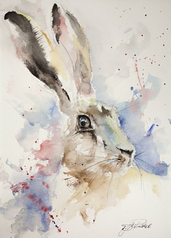 Female Hare