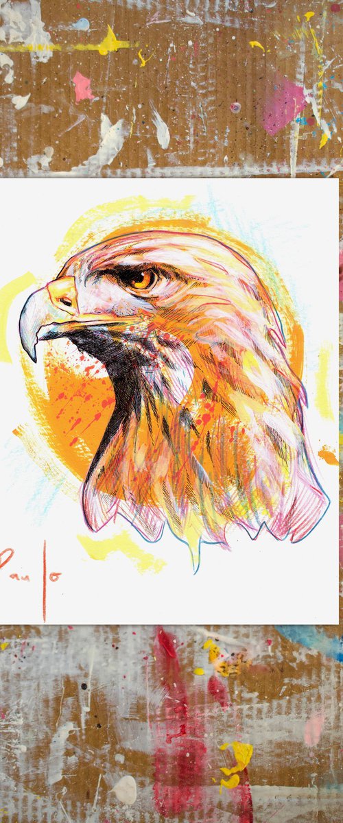 Golden Eagle by Paul Ward