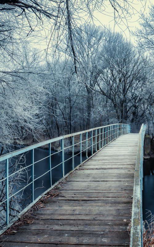 Frozen park by Vlad Durniev