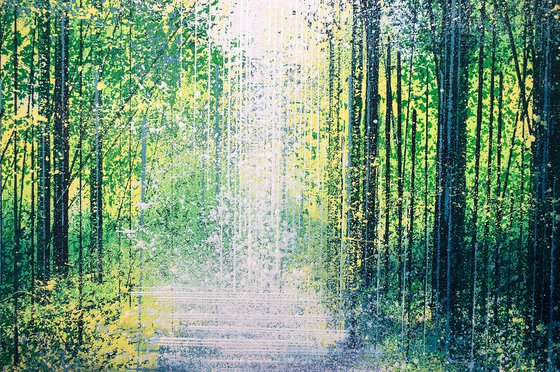 Light In A Spring Forest