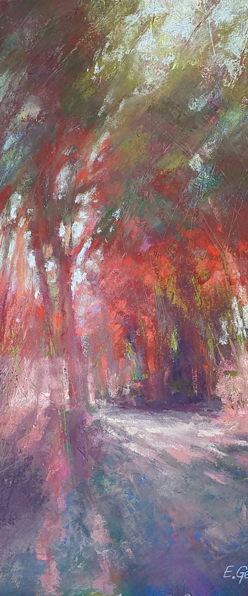 Eucalyptus grove in red by Elena Genkin