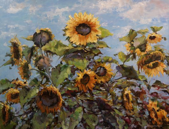 "Sunny Chord"