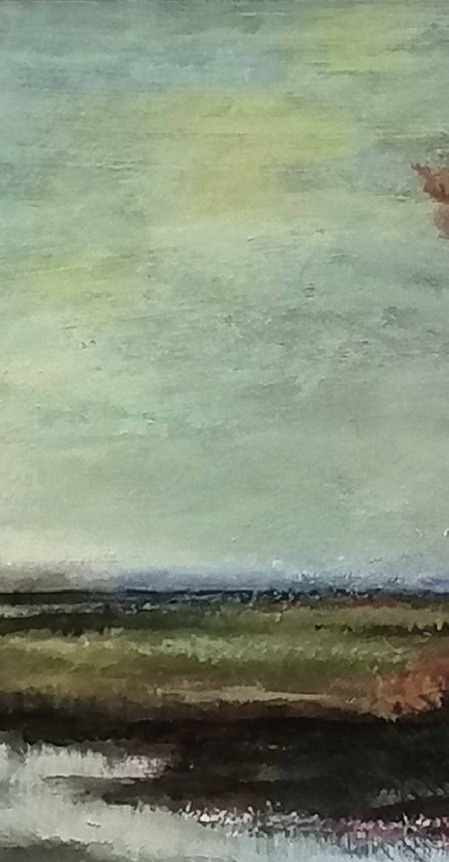 After the Storm by Alan Harris