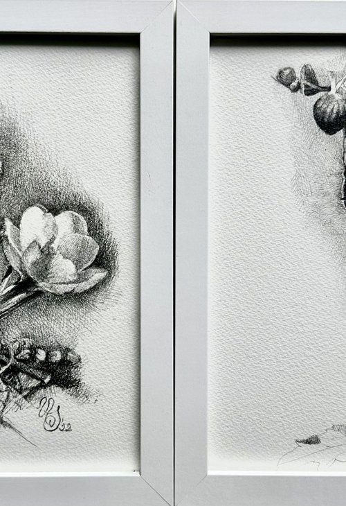 Floral vessel drawing diptych by SoNata Art