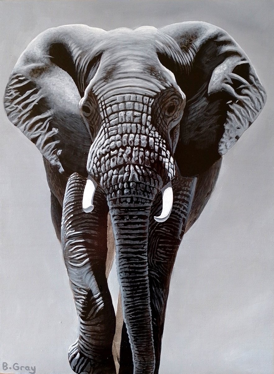 Elephant by Barry Gray