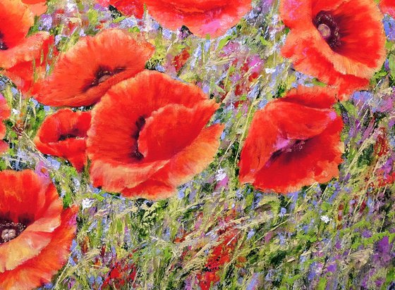 Poppies with wild flowers.