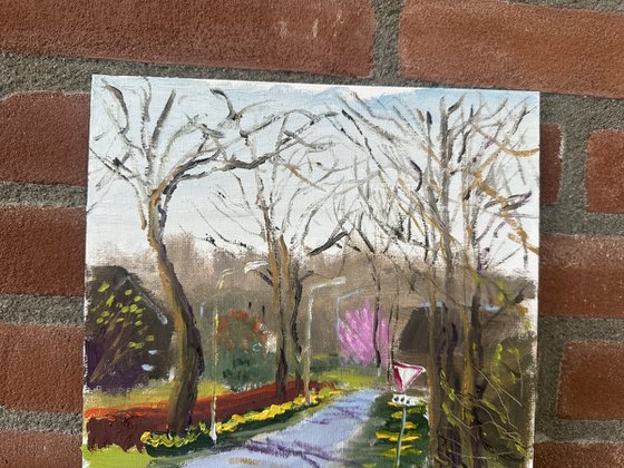 Early March Awakening