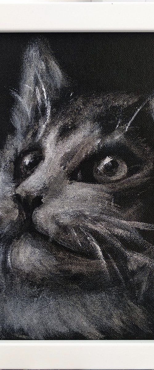 Little cat Black and Silver Monochrome art Framed and Ready to hang by Anastasia Art Line