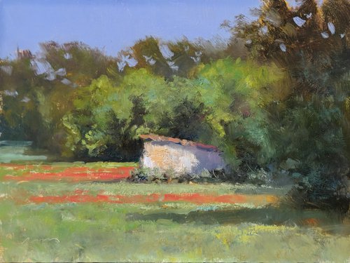 Shed and Poppies at St Jean by Pascal Giroud
