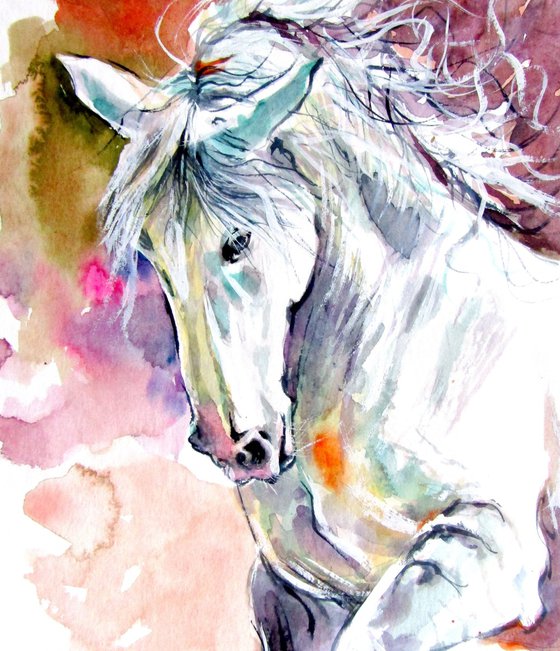 Andalusian horse collection
