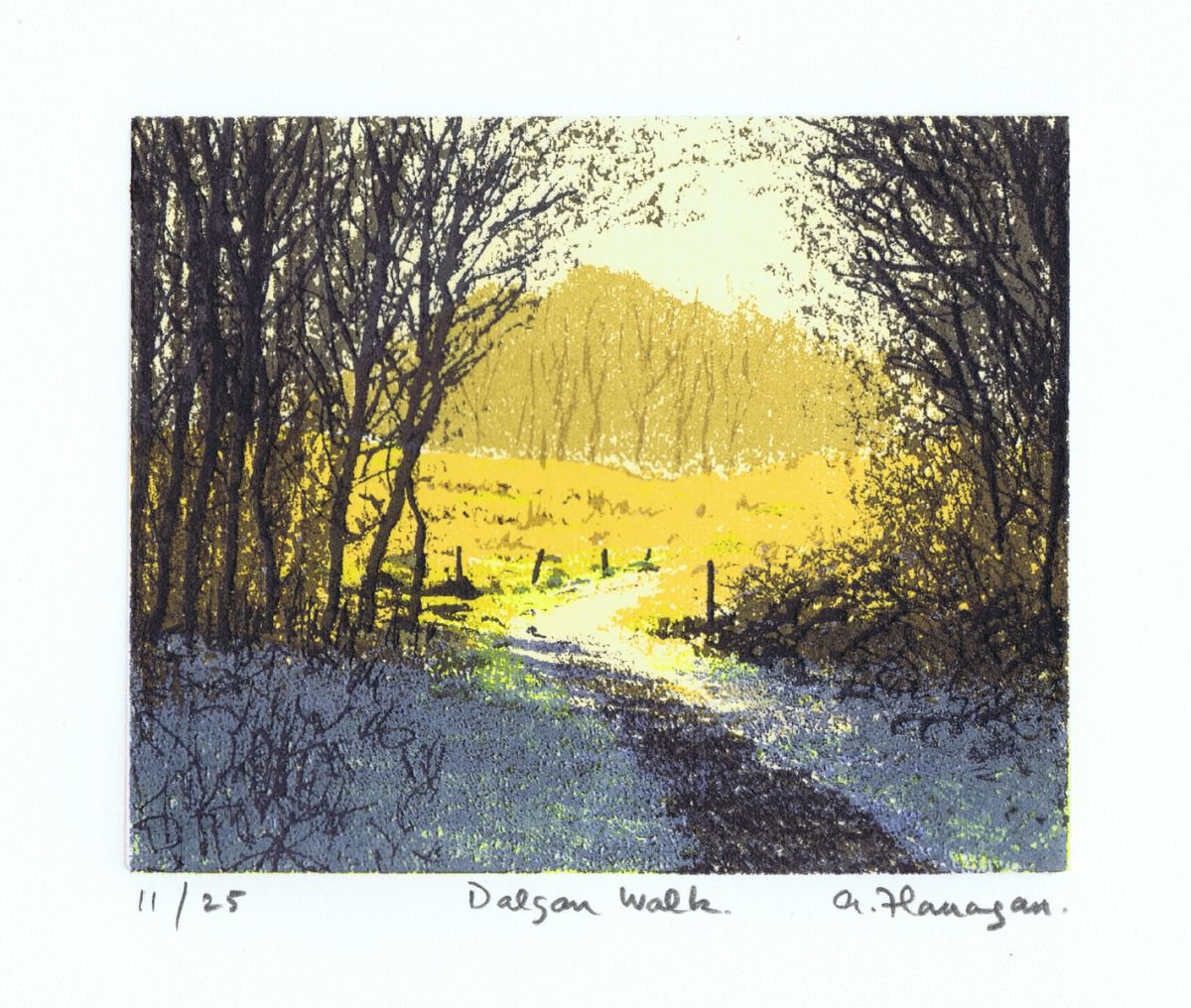 Dalgan Walk by Aidan Flanagan Irish Landscapes