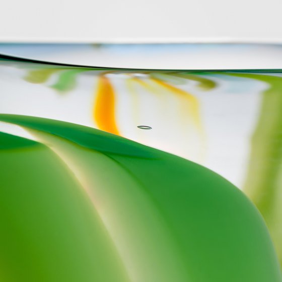 Seagrass IV