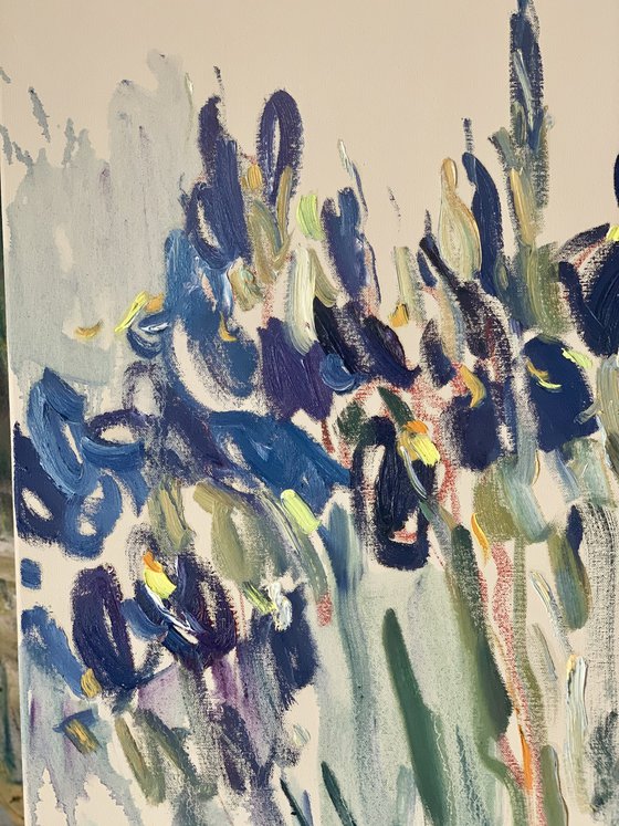 Irises.