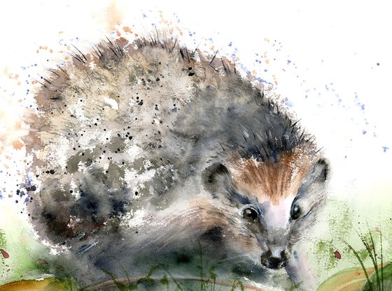 Hedgehog