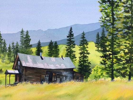 Montana Cabin