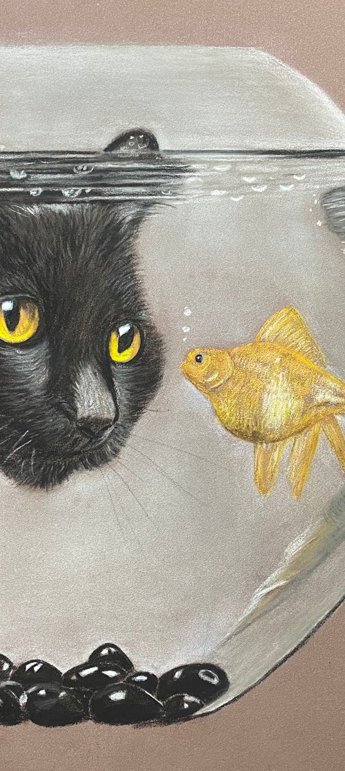 Cat watching goldfish by Maxine Taylor