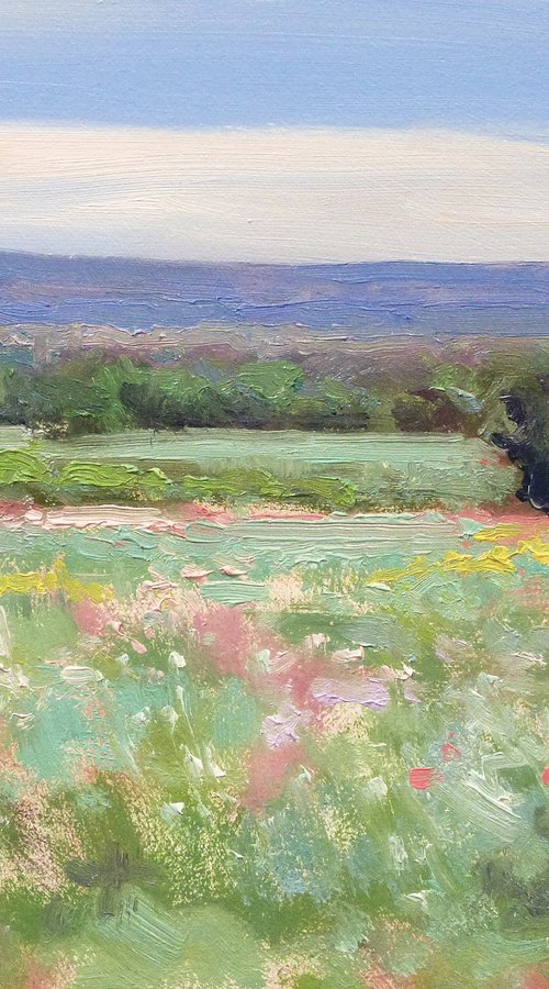 Landscape at Joucas by Pascal Giroud