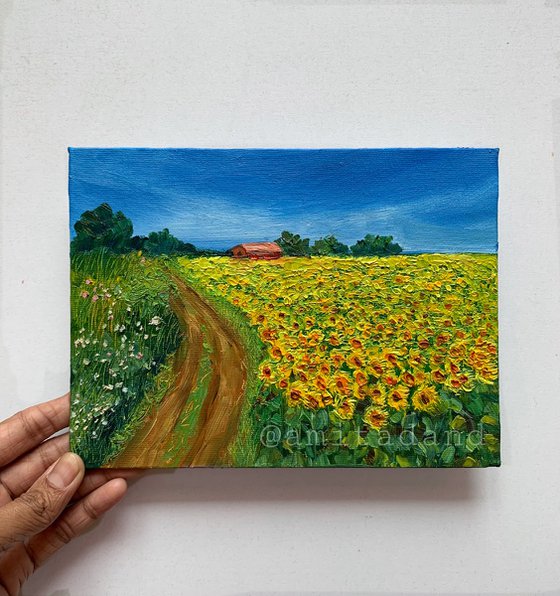 Sunflowers Field