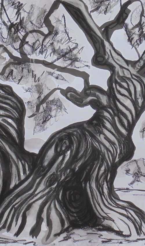 Millennium Olive Tree II by Kirsty Wain