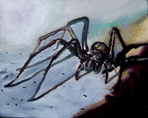 spider by Soso Kumsiashvili