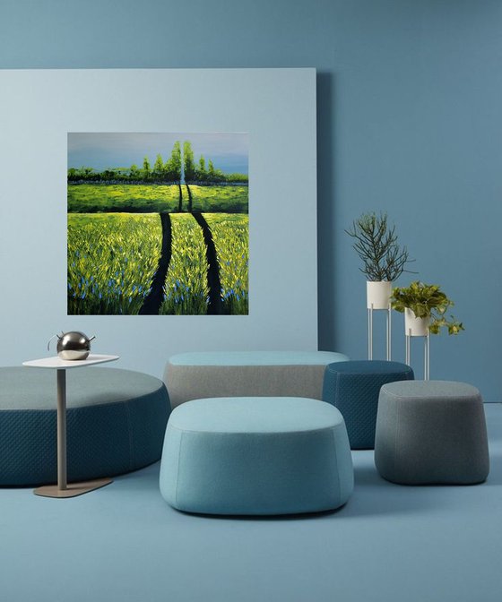 Canola Fields
