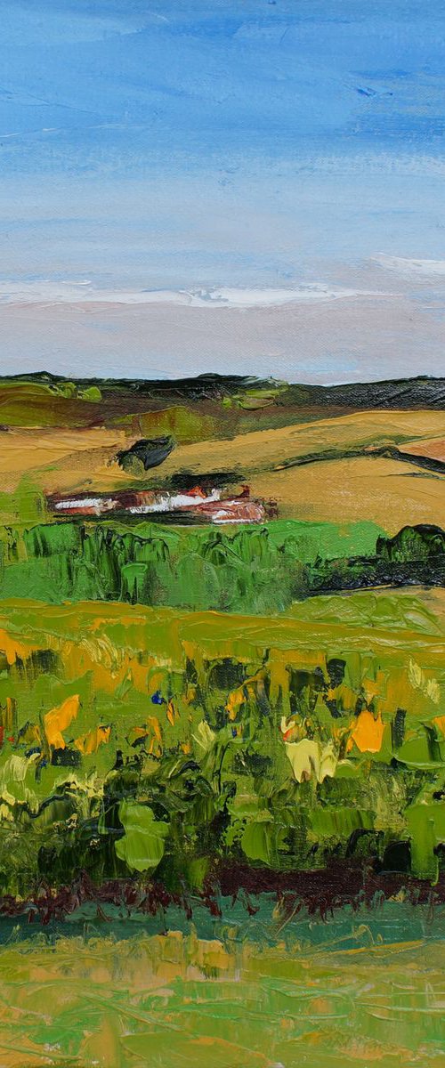 Late afternoon and the sky has cleared by Ann Palmer
