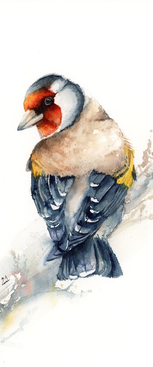 European Goldfinch, watercolor of birds and wildlife by Karolina Kijak