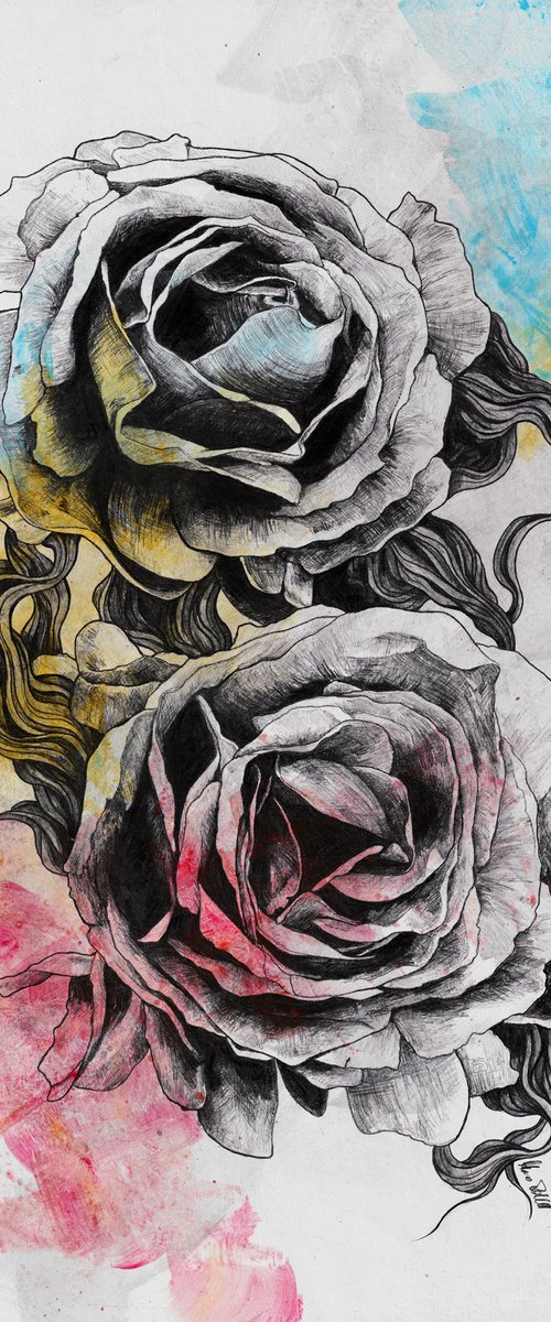 Floral Series: Rosa Chinensis by Marco Paludet