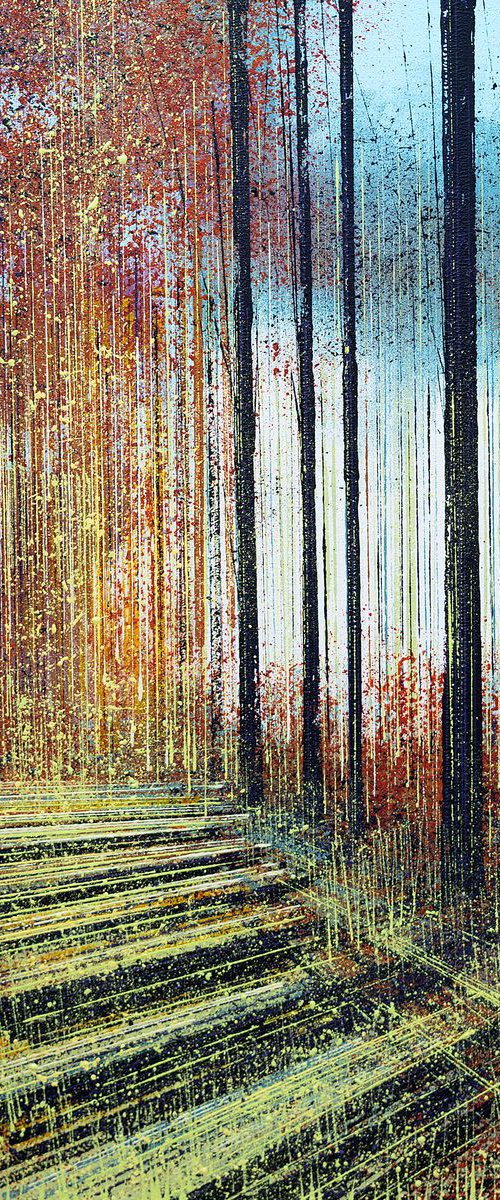 Afternoon Light Through Forest Trees by Marc Todd