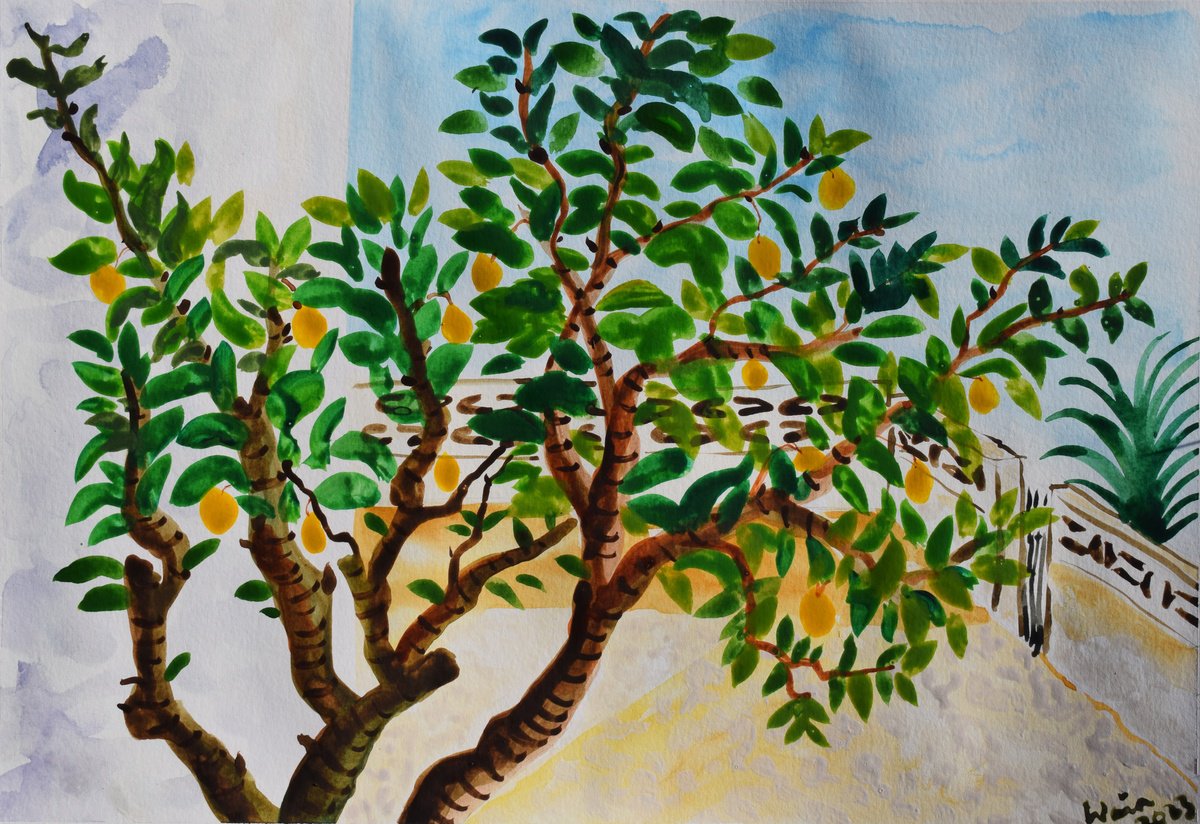 Lemon tree in Badia gardens by Kirsty Wain