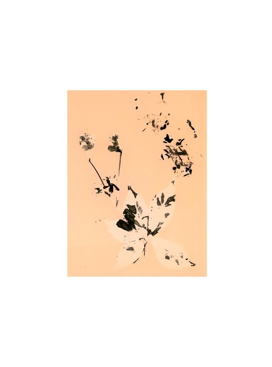 Phytogram orange flowers