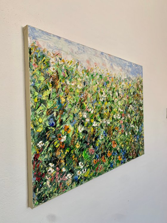 Summer meadow