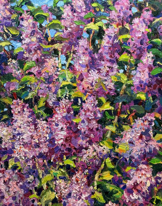 Breath of spring.