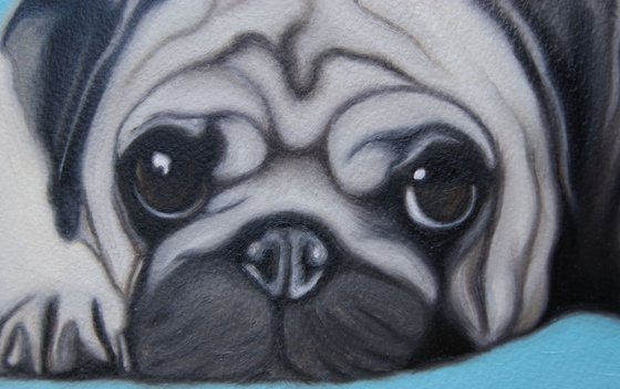 Pug Love ( oil on paper )