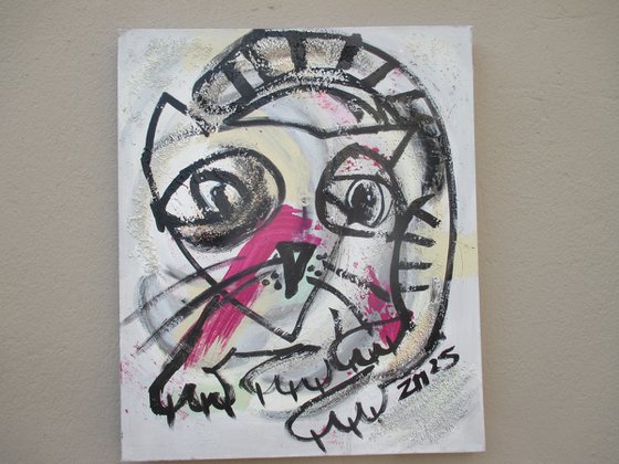 expressive grumpy pink cat