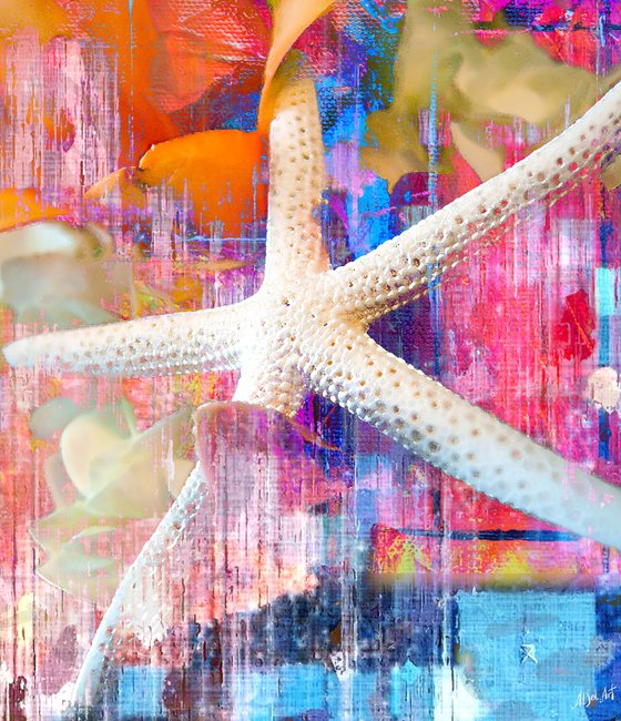 Red Sea Star