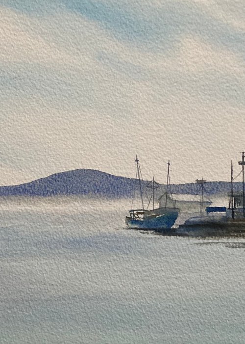 Morning mist by Silvie Wright