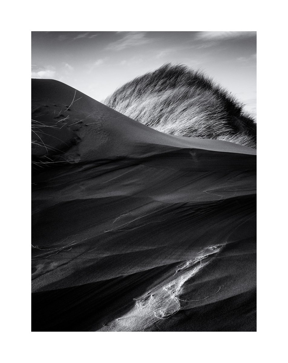 Forvie Dune I by David Baker