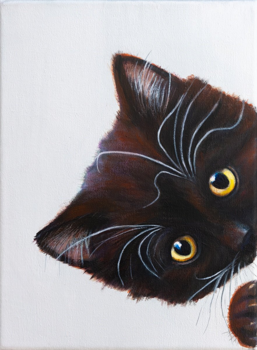 Photorealistic Animal Acrylic Painting By Norma Beatriz Zaro, 7 X 9", Black Kitten 2, Original Artwork