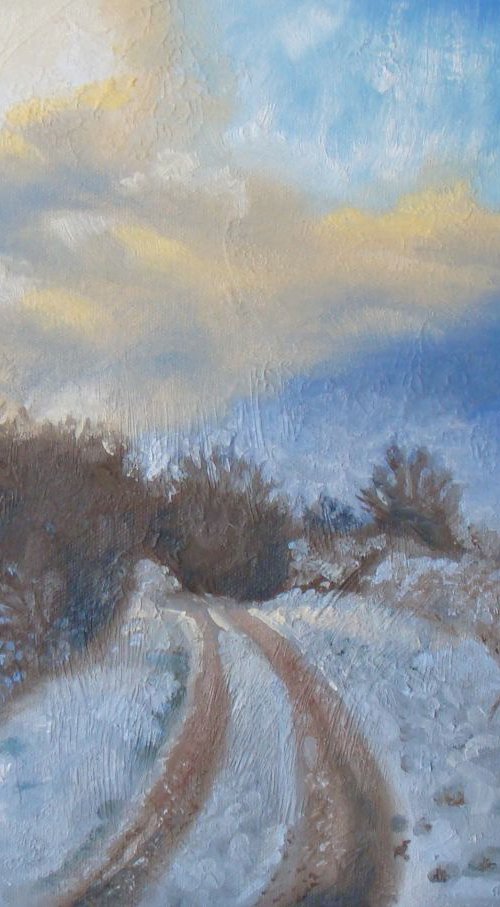 Snowy winter afternoon by Michael Mullen