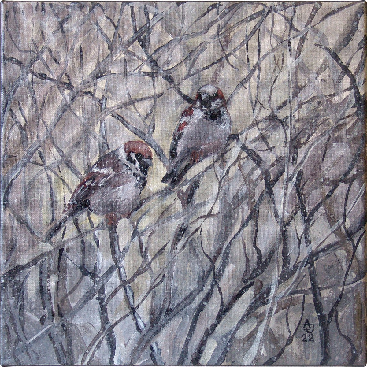 Sparrows by Jolanta Czarnecka