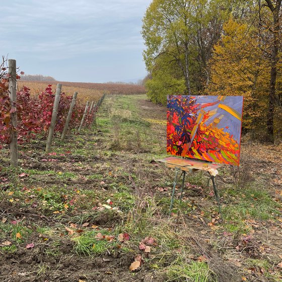 Autumn on the vineyard