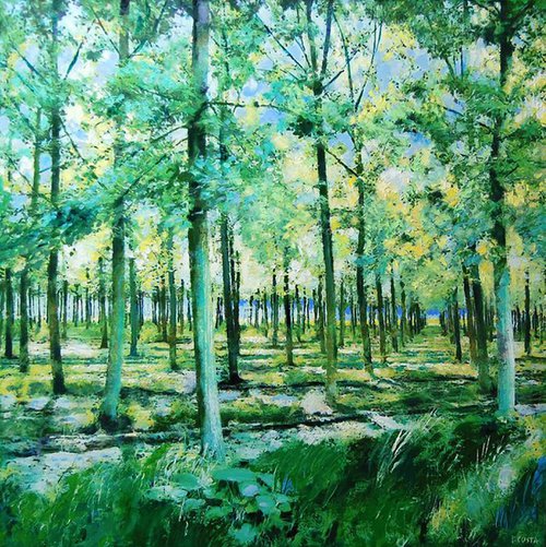 Il bosco giovane by Piero Costa