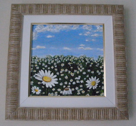 Field of Daisies