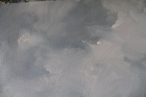 Afternoon light on the moor