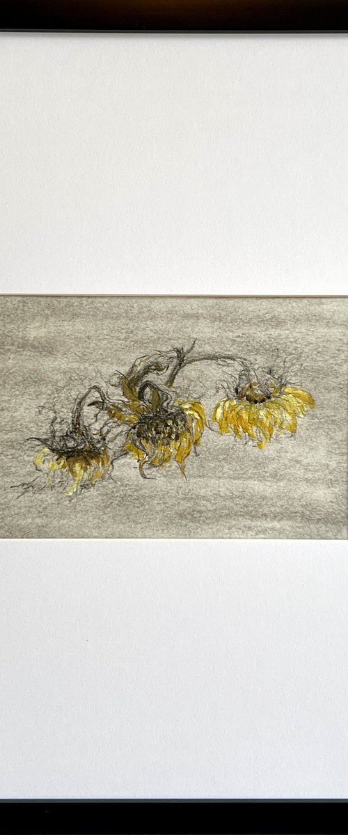 Faded Sunflowers by Maxence Ma