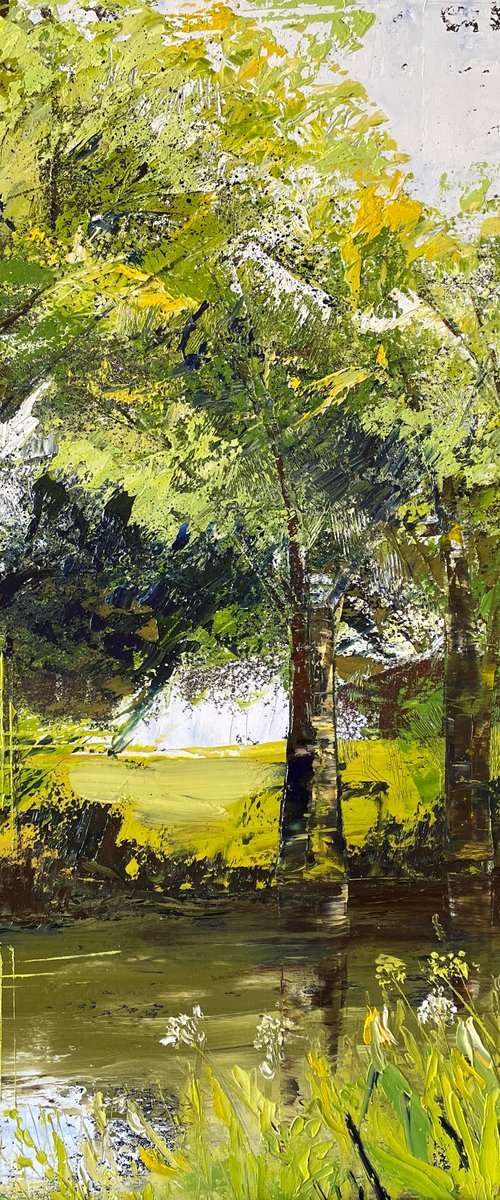 Summertime Reflections by Belinda Reynell